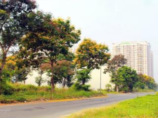 Chốt nhanh 6 tỷ, 100m2, đường 12m, sổ hồng chính chủ, kdc phong phú 4 bình chánh