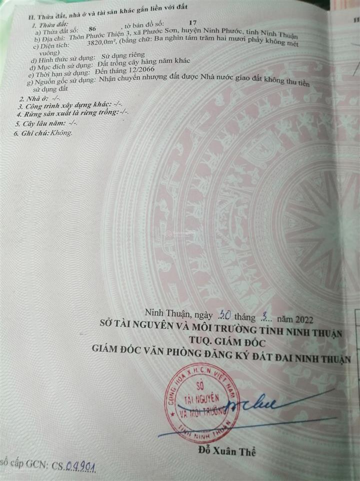 Bán đất hnk chính chủ tại phước thiện 3, xã phước sơn, huyện ninh phước