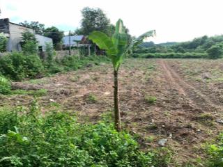 Bán đất an phú, hớn quản, bình phước (minh đức, đồng nai), giá ưu đãi 2xx triệu, diện tích 1000 m2