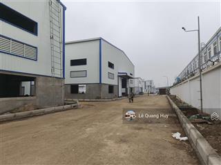 Cho thuê nhà xưởng tiêu chuẩn tại thái bình phù hợp doanh nghiệp fdi diện tích 6500m2