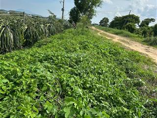 Chính chủ cần bán lô đất trồng thanh long cách phan thiết 20km, diện tích 14.000m2