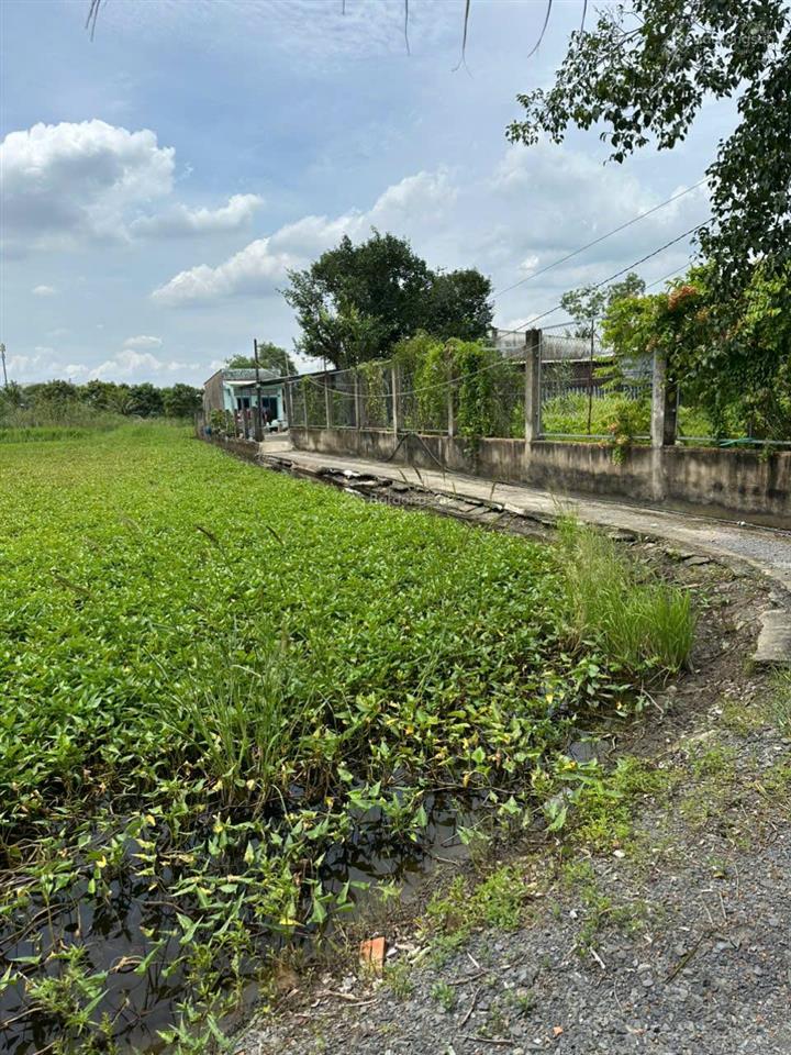 Bán 2 lô đất liền kề xã bình chánh, tp. hcm diện tích 921m², giá 6.5 tỷ