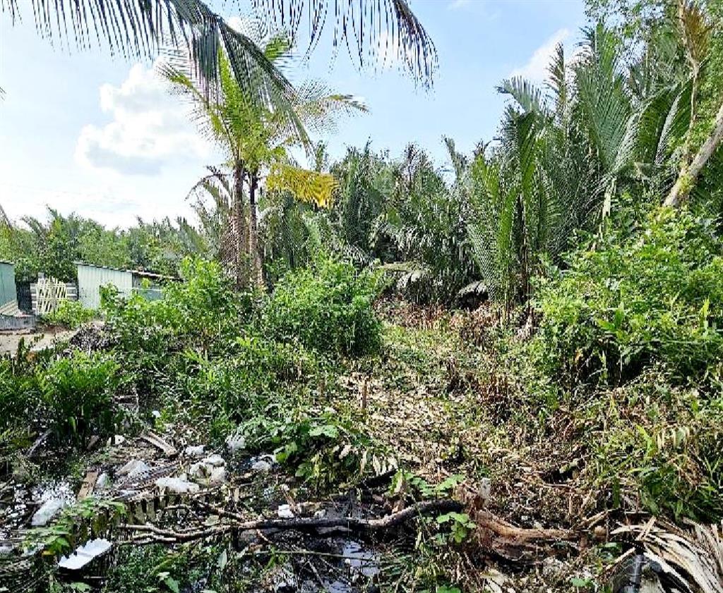 Bán thửa đất đường ô tô số 20, cát lái, q2, diện tích 200m2(8mx25m), giá 5.8 tỷ