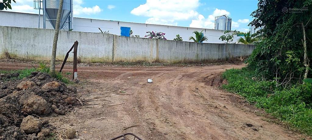 Cho thuê đất trống cln tại xã an long, tp. hcm, giảm giá 20 còn 10 triệu/tháng, dt 4,5 ha