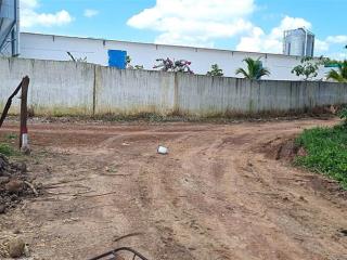 Cho thuê đất trống cln tại xã an long, tp. hcm, giảm giá 20 còn 10 triệu/tháng, dt 4,5 ha