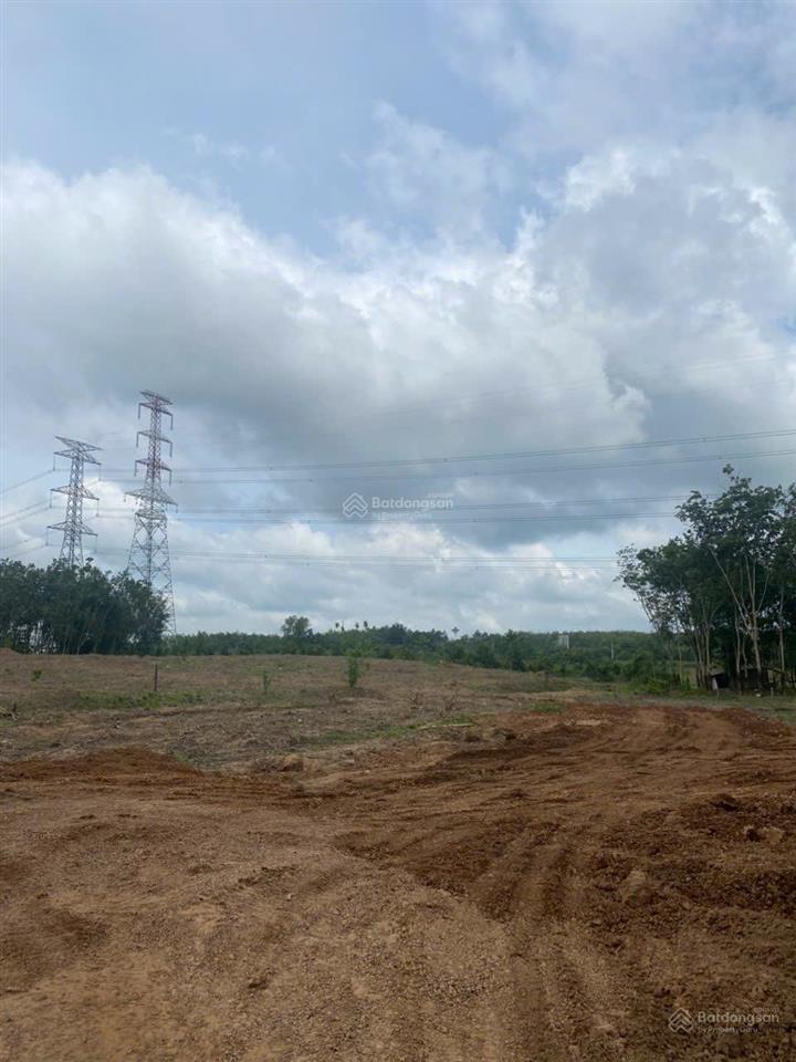 Cho thuê đất trống cln tại xã an long, tp. hcm, giảm giá 20 còn 10 triệu/tháng, dt 4,5 ha