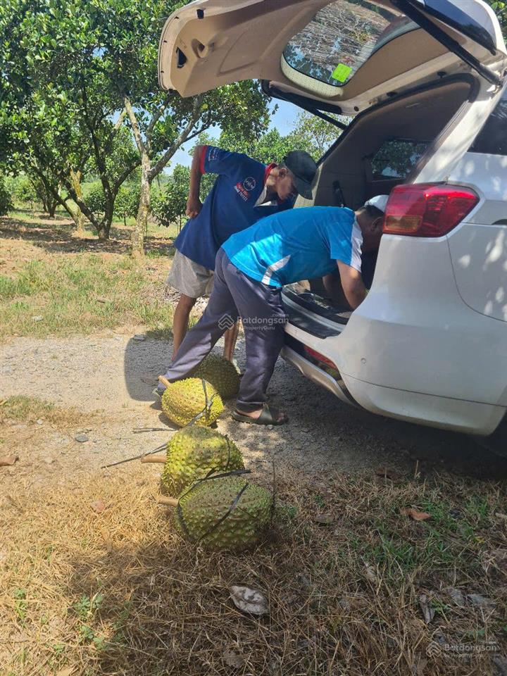 Cho thuê đất trống cln tại xã an long, tp. hcm, giảm giá 20 còn 10 triệu/tháng, dt 4,5 ha