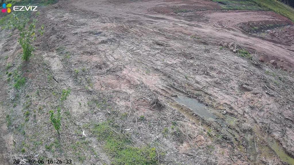 Cho thuê đất trống cln tại xã an long, tp. hcm, giảm giá 20 còn 10 triệu/tháng, dt 4,5 ha