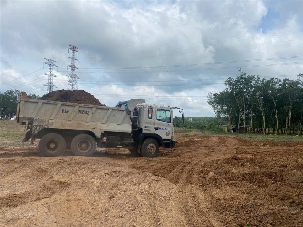 Cho thuê đất trống cln tại xã an long, tp. hcm, giảm giá 20 còn 10 triệu/tháng, dt 4,5 ha