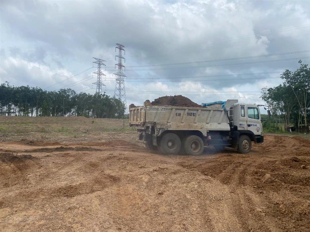 Cho thuê đất trống cln tại xã an long, tp. hcm, giảm giá 20 còn 10 triệu/tháng, dt 4,5 ha