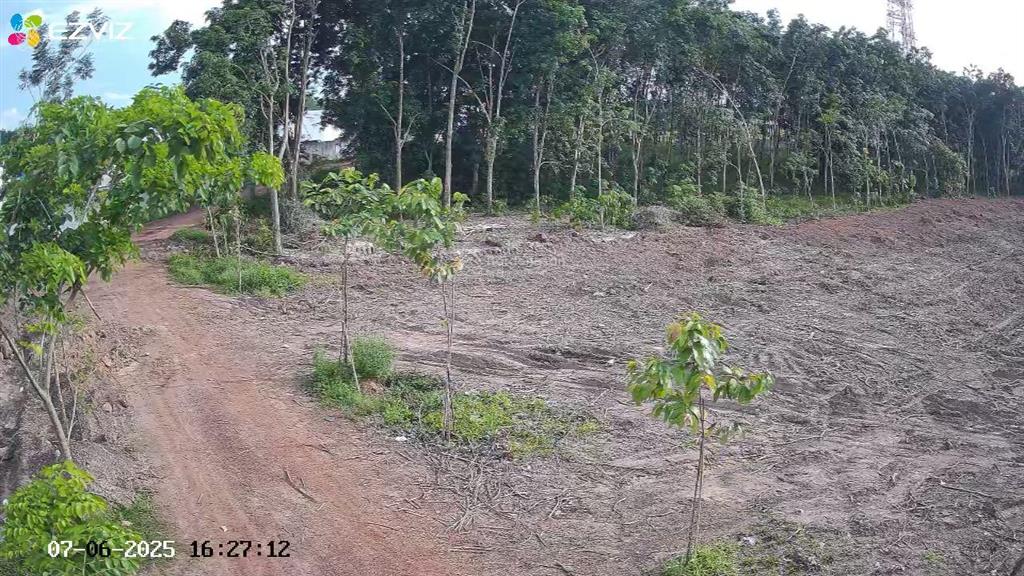 Cho thuê đất trống cln tại xã an long, tp. hcm, giảm giá 20 còn 10 triệu/tháng, dt 4,5 ha