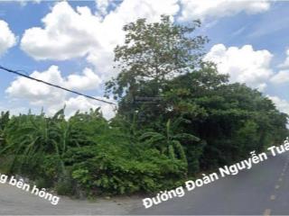 Bán đất đoàn nguyễn tuấn, 12 triệu, 1986m2, bình chánh, hcm