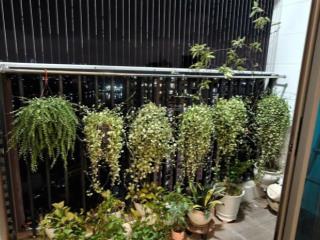 Siêu hót  căn hộ 2pn 2wc tòa ct36 định công. tầng trung đẹp. hướng nam cực thoáng mát