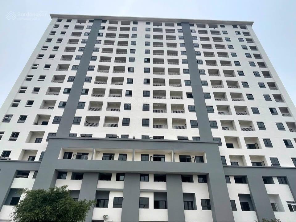 Bán căn góc chung cư 3 ngủ cho gia đình đông người nhà đẹp nhưng giá thấp nhất thành phố