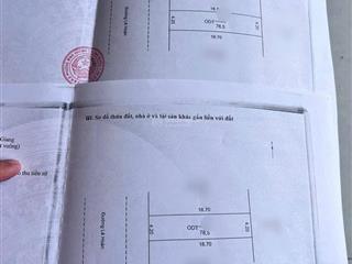 Bán nhanh cặp nền mặt tiền đường lê hoàn  khu sao mai tp long xuyên 157m2, vị trí đẹp, giá hấp dẫn
