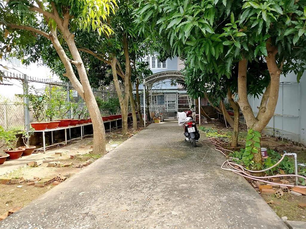 Bán nhanh cặp nền mặt tiền đường lê hoàn  khu sao mai tp long xuyên 157m2, vị trí đẹp, giá hấp dẫn