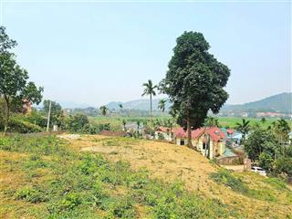 Siêu phẩm nghỉ dưỡng tiến xuân, thạch thất là đây  view cánh đồng, đồi núi đẹp như tranh vẽ