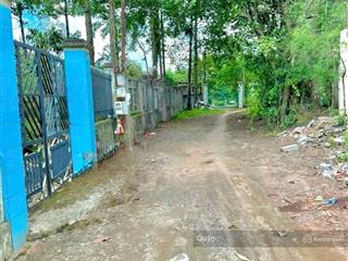 Bán gấp đất vườn cây ăn trái có sẵn 100m2 thổ cư, giáp tân phong biên hòa, gần trung tâm tân triều