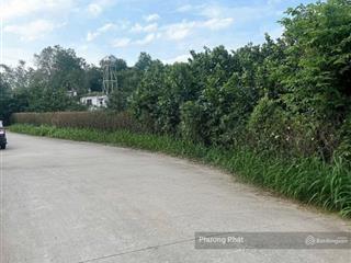 Bán gấp đất mặt tiền đường bến đôi sổ riêng thổ cư 100%, tt 288tr sở hữu được ngay
