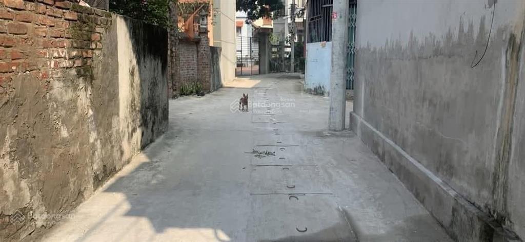 Cần bán lô đất đẹp tại trung hậu, tiền phong, mê linh, tp hà nội