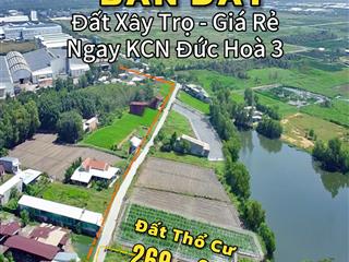 Đất kế bên kcn đức hoà 3, đức lập hạ. đường ô tô tới đất. giá ngộp bán nhanh