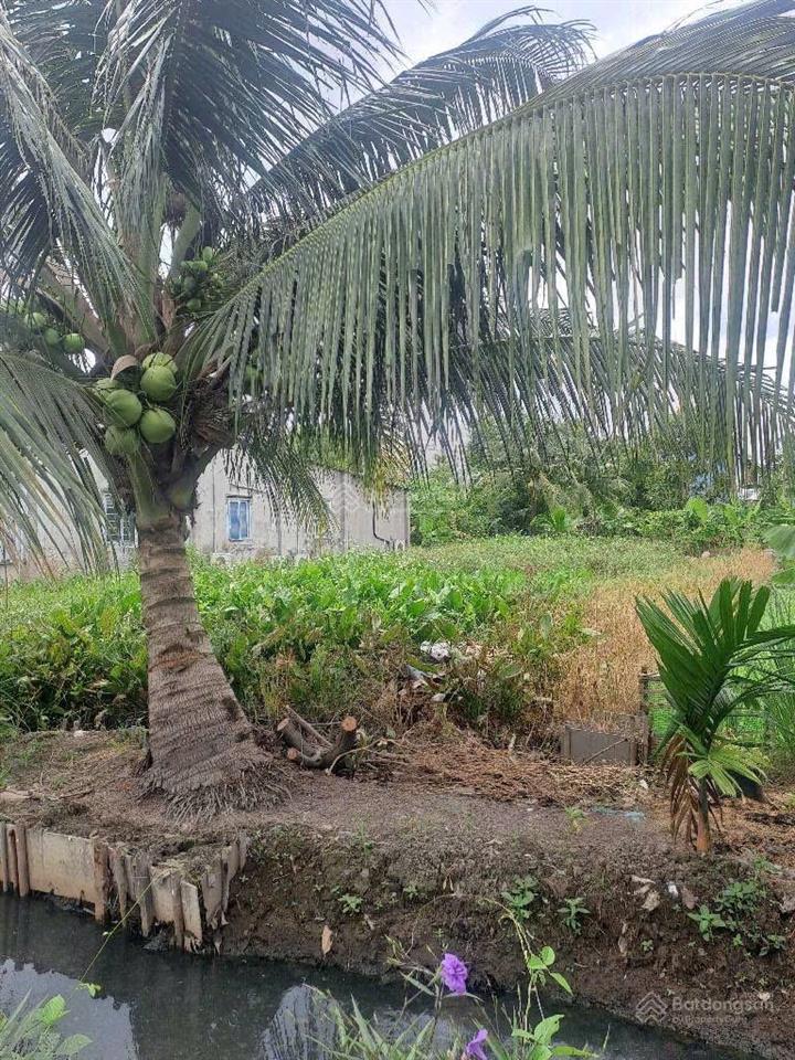 Bán đất thổ cư, đường thạnh xuân 33 phường thạnh xuân q12.dt 200m2 (7,5mx26m) đường 12m giá 7,5tỷ.