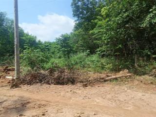 Bán đất nông nghiệp giá rẻ phường tân thành, tp. hcm (trước đây là phường hắc dịch, tp phú mỹ