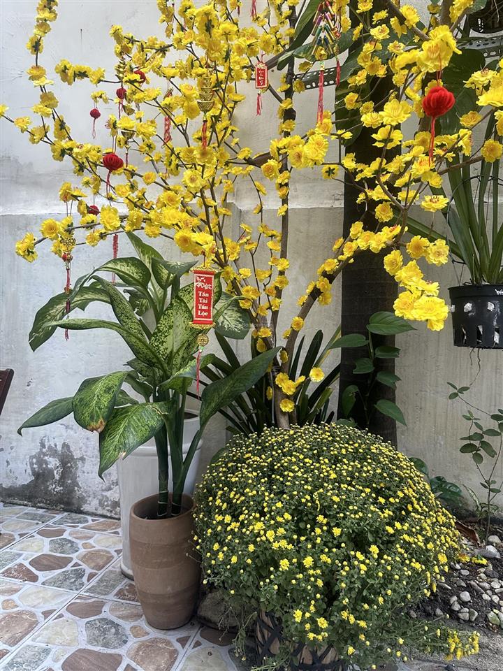 Bán nhà 161 đông hưng thuận 2 phường tân hưng thuận quận 12