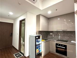 Cho thuê căn hộ cao cấp bậc nhất của vin bên phân khu hawaii masterise vinhome