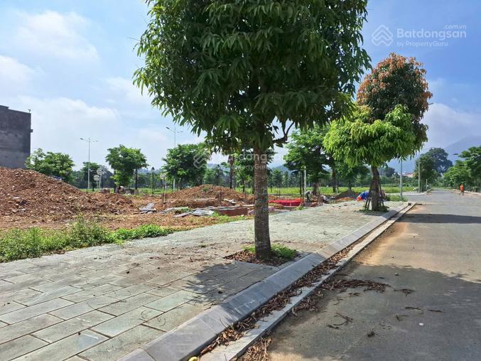 Bán gấp lô liền kề hơn 100m2 vị trí ngã 3 view công viên siêu đẹp, giá chỉ 25tr/m2 sổ sẵn sang tên