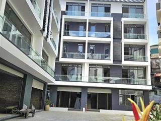 BÁN BIỆT THỰ KHU HUỲNH THÚC KHÁNG - 136M² x 5 TẦNG - 3 THOÁNG - AN SINH ĐỈNH - GIÁ 55.5 TỶ