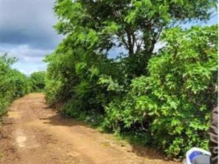 BÁN 2009M2 ĐẤT TỔ 32 THỊ TRẤN LIÊN NGHĨA ĐỨC TRỌNG LÂM ĐỒNG