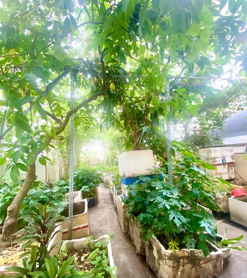 [PHƯỜNG BÀN CỜ] BÁN NHÀ LÔ GÓC, 5 TẦNG HẺM XE HƠI 8M, NGUYỄN ĐÌNH CHIỂU, CHỈ 16.5 TỶ