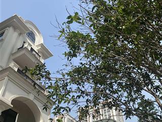 Biệt thự mộc hương (the zei mỹ đình), diện tích 243m², dtxd 530 m², giá tốt từ chủ đầu tư