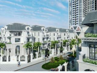 Biệt thự mộc hương mỹ đình, diện tích 265m², giá tốt từ chủ đầu tư