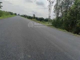 Chính chủ bán đất cao lãnh  mặt tiền khủng  ngay trục giao thông huyết mạch