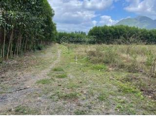 Chính chủ bán nhanh 2022,4m2 đất khánh trung, khánh vĩnh, cách dân 350m, gần tỉnh lộ 8b chỉ 590tr