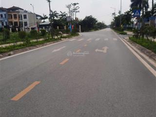 Bán 88m2 trung tâm trâu quỳ, mặt tiền 4,2m, đường 8m có vỉa hè, ô tô đỗ ngày đêm
