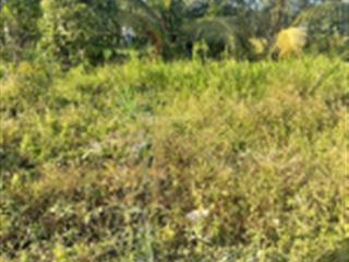 Nền ngang 18m đường kênh thị đội ngang chùa quan âm linh ứng (phật học 2)