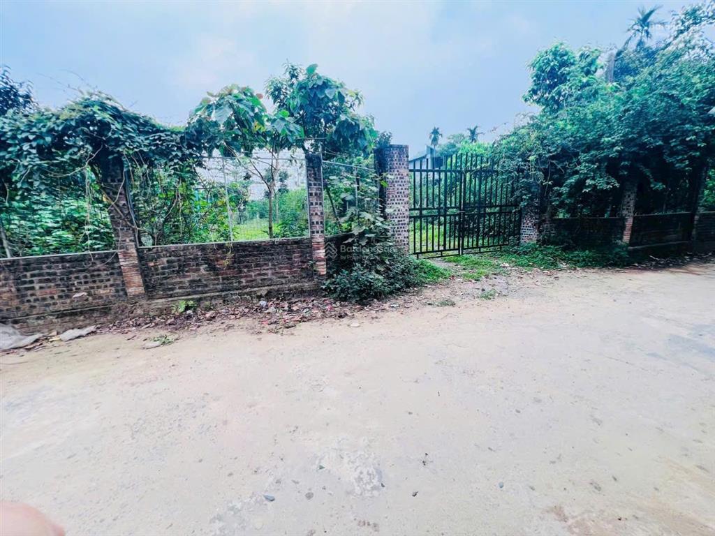 Bán 1052m2 có 100m2 thổ cư xóm cò, yên bình