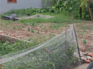 Bán 47.7m2 đất ninh xá  thuận thành bắc ninh,đường ô tô vào đất,giá chỉ 1.4 tỷ