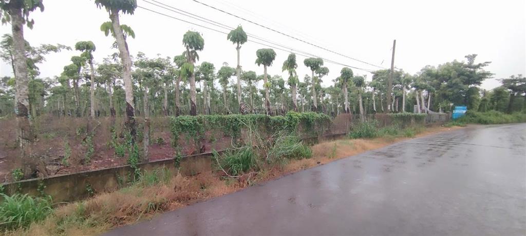 Chính chủ cần bán gấp 12.000m2 đất tại hoà hiệp, xuyên mộc, bà rịa vũng tàu giá 19.5 tỷ