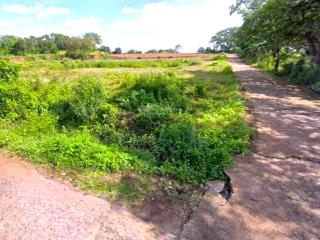 Bán gấp lô góc 2mt (6x32=319,6m2) nở hậu tc shr, ngay chợ thanh lương dân đông, gần kcn, kdc 390tr