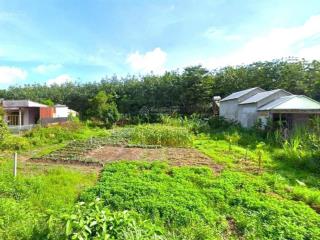 Bán đất chơn thành 2675m2 mặt tiền 36m dài 60 nở hậu ngay chợ trường c1,c2,c3 kcn 200n cn giá 400tr