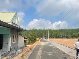 Đất nền 135m2 tại xã định thành, dầu tiếng, bình dương, 350 triệu vnd