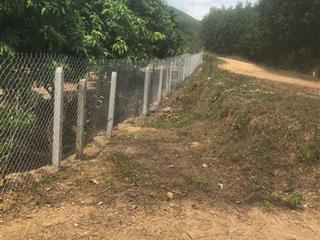 Bán đất giá rẻ tại xã xuân đồng, diên khánh, khánh hòa. dt 948.4m², chỉ 370 triệu. đất đã trồng keo