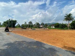 Chuyển nhượng lô đất nền từ 150m  300m2 tại trung tâm thành mỹ, thạch thành, thanh hóa.
