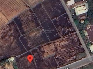 Bán đất mt võ văn điều, xã trung lập thượng dt 7137m2 đất cây lâu năm giá 9tr/m2 xung quanh dân cd
