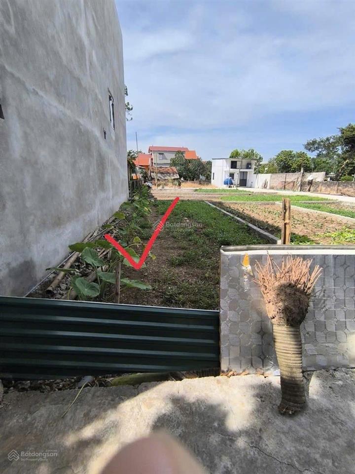 Bán đất đẹp tại xã tự nhiên, thường tín, hà nội, 2,95 tỷ, 55,3 m2