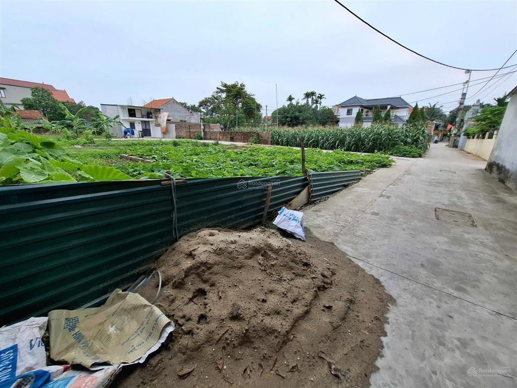 Bán đất đẹp tại xã tự nhiên, thường tín, hà nội, 2,95 tỷ, 55,3 m2